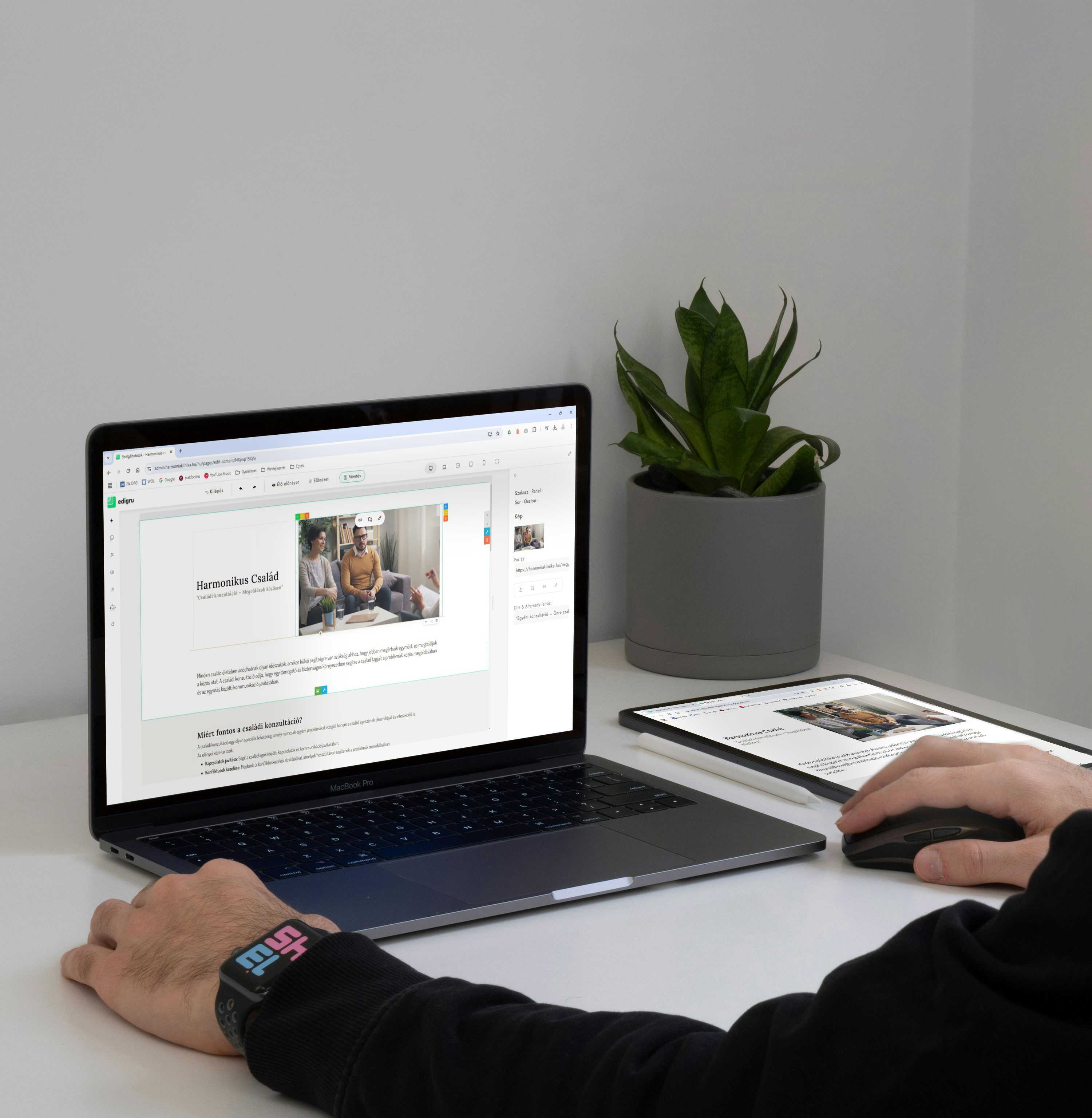 Webhubster | edigru | WebProgger - Domain, Tárhely, Levelezés